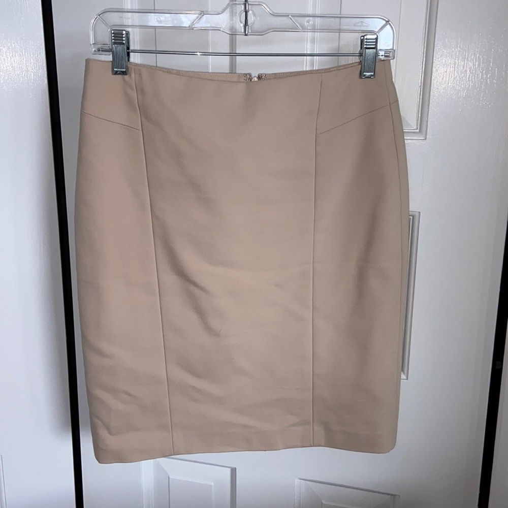 Ann Taylor pencil Skirt Petite